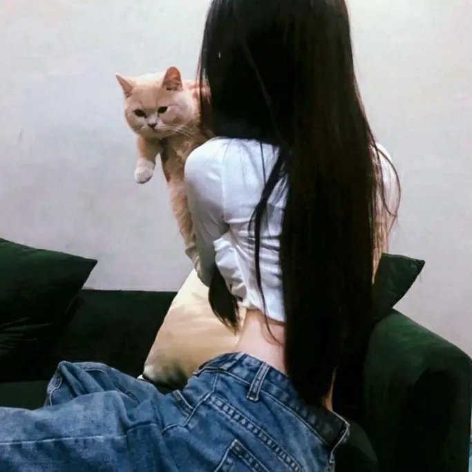 今晚谁当家